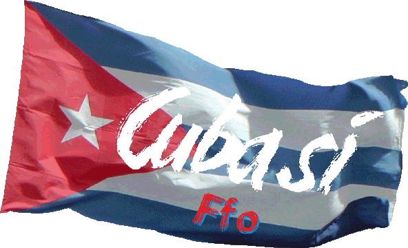Logo-Ffo-transp-1